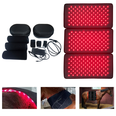 3 in 1 entfernbarer Körper-Sculpting Gewichtsverlust-roter Lichttherapie-Maschine 660nm 850nm
